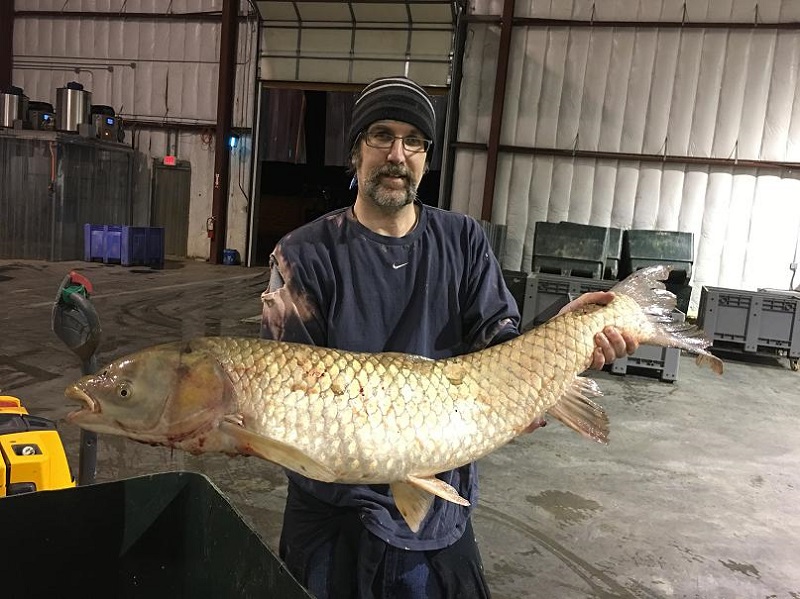 1527830104626485.jpg 1.JPG